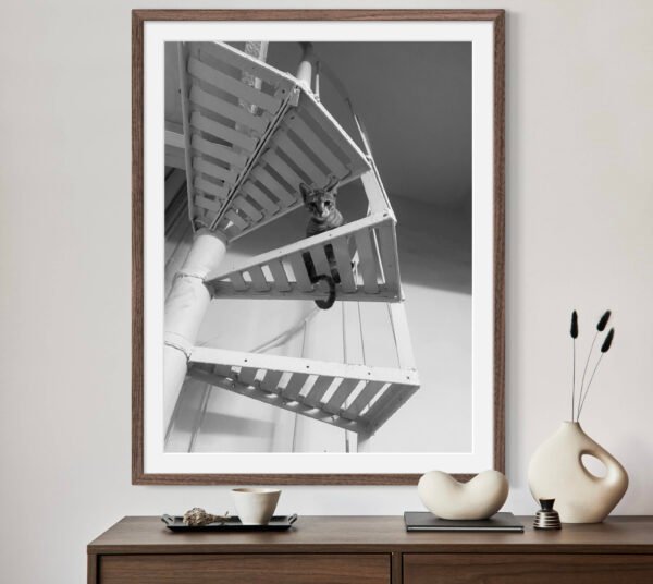 Curious Spiral - Wall Framed Art Print